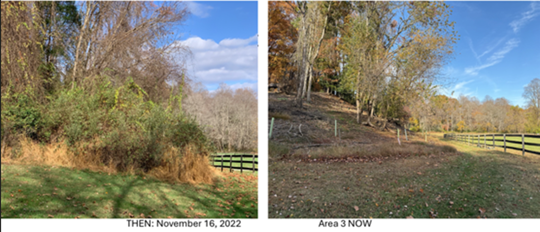 Screenshot2026 02 02130840