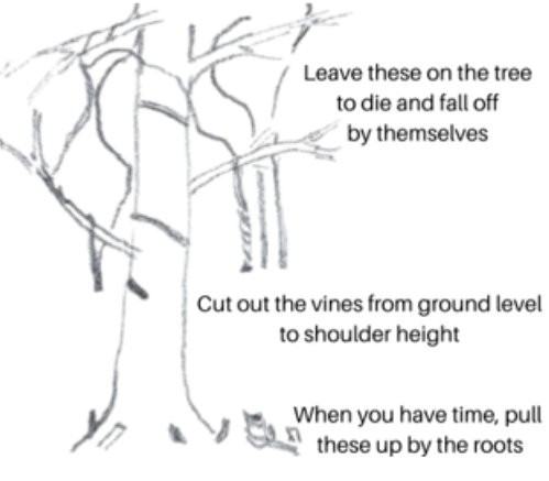 Screenshot 2026 02 07 071037