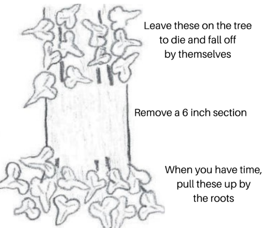 Screenshot 2026 02 07 071058