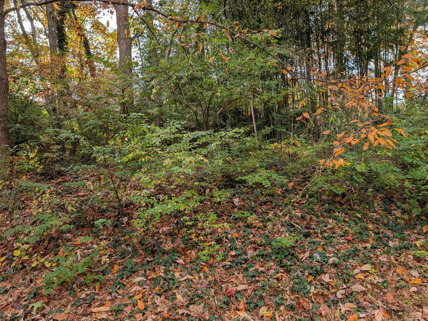 Before Barton Hill Cluster