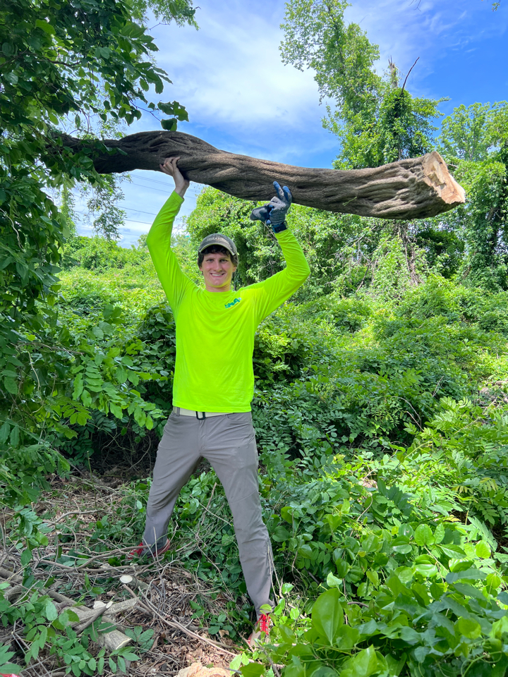 Nick brandishing Wisteria vine